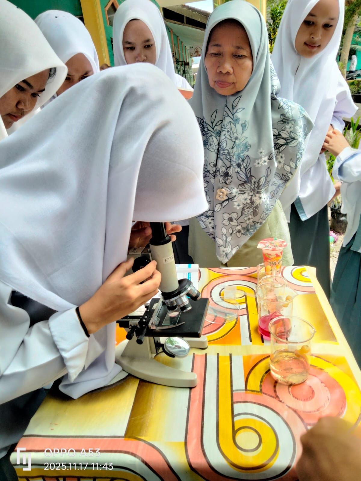 Pengumuman Daftar Siswa Baru Tahun 2017/2018 Pengumuman Daftar Siswa Baru Tahun 2017/2018